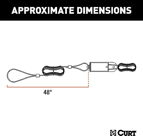 Curt Breakaway Switch